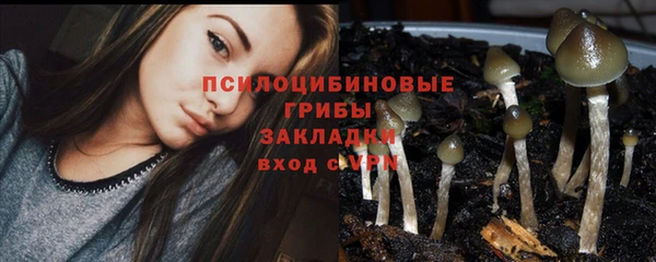 бошки Абаза