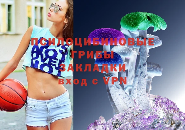 бошки Абаза